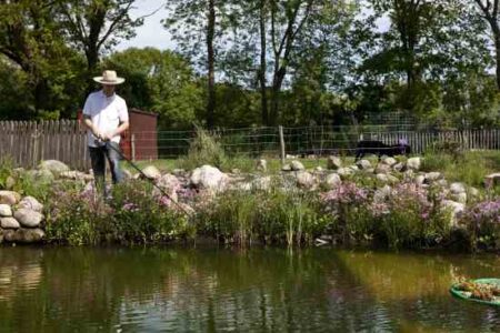 Stock a Pond With Fish Image